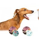 Spray Eliminador de Tártaro e Doenças de Gengiva